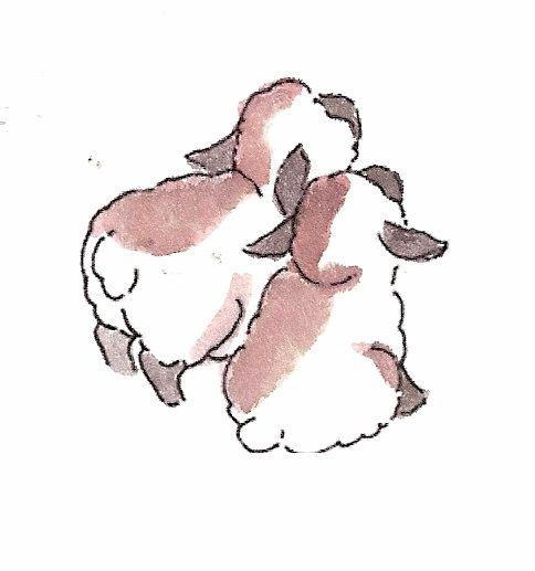 Lambs